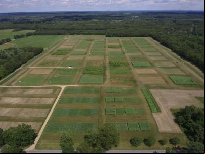 Transição energética e novos horizontes para a agricultura brasileira